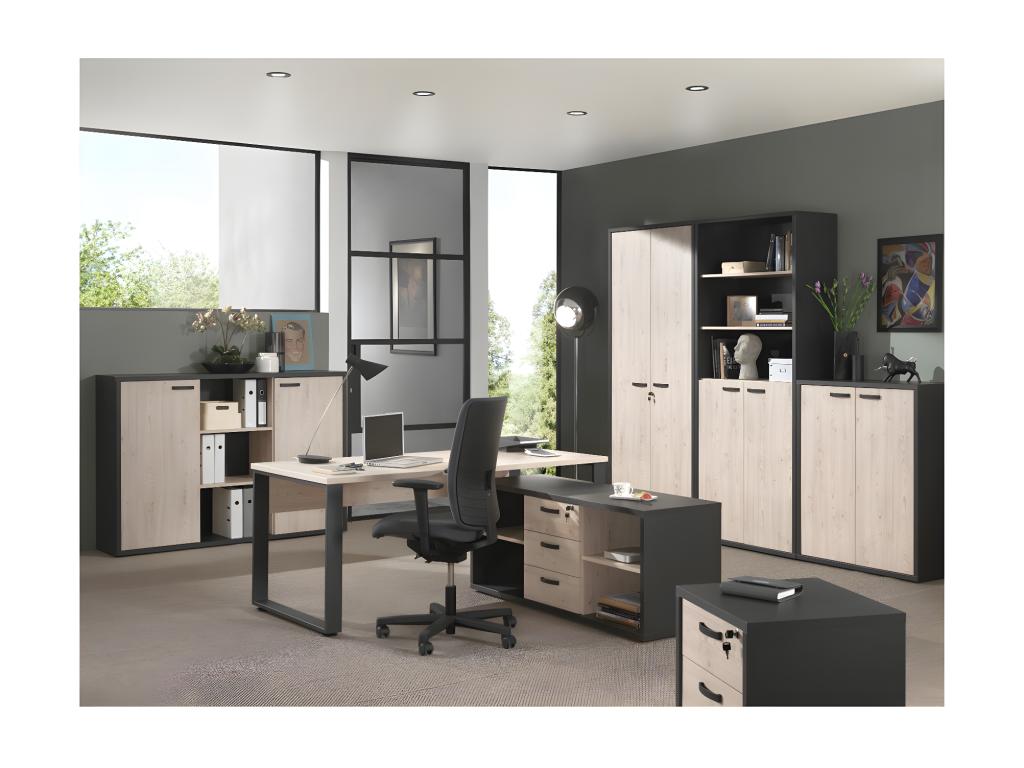 Office Bookcase - 2 Doors and Shelves, Light Oak and Black - Collection - Calmetop 60660HIWL